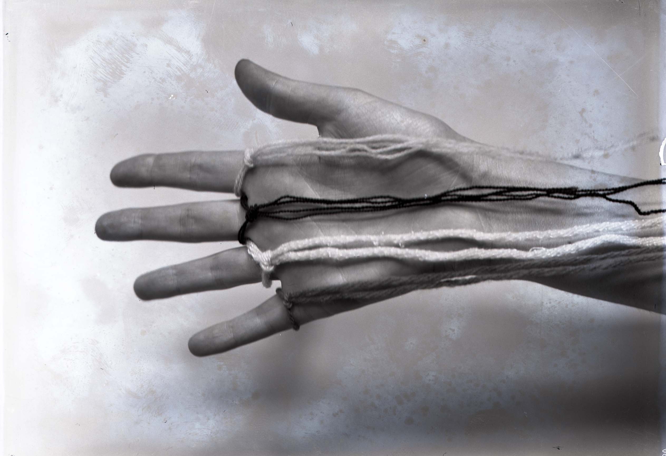 Tracce di Parole - Fototeca (4)